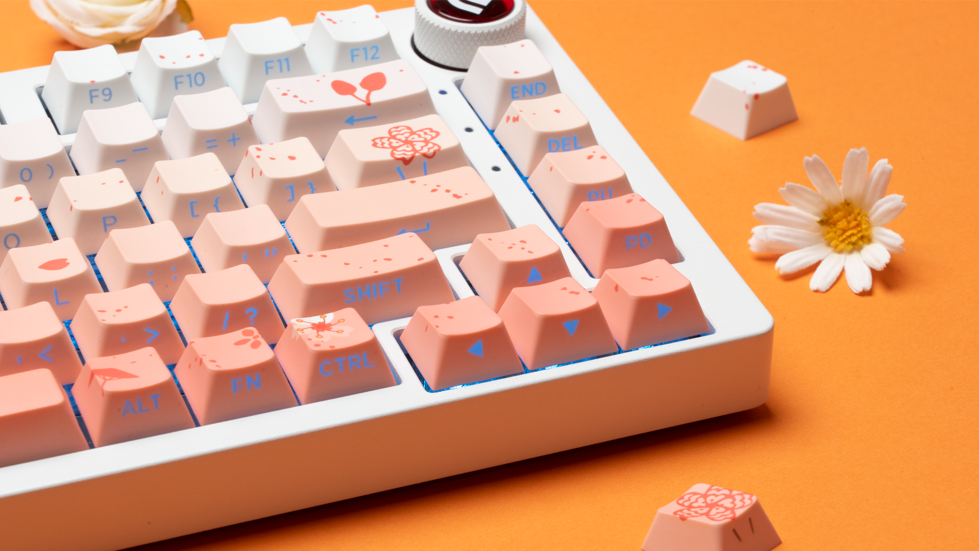 cherry様 Amazon.com: XVX Cherry Blossoms PBT Keycaps, Double Shot