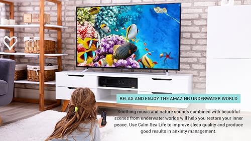 Calm Sea Life - Vídeos de Aquário e Relaxamento Subaquático