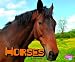 Horses (Pebble Plus: Farm Animals)