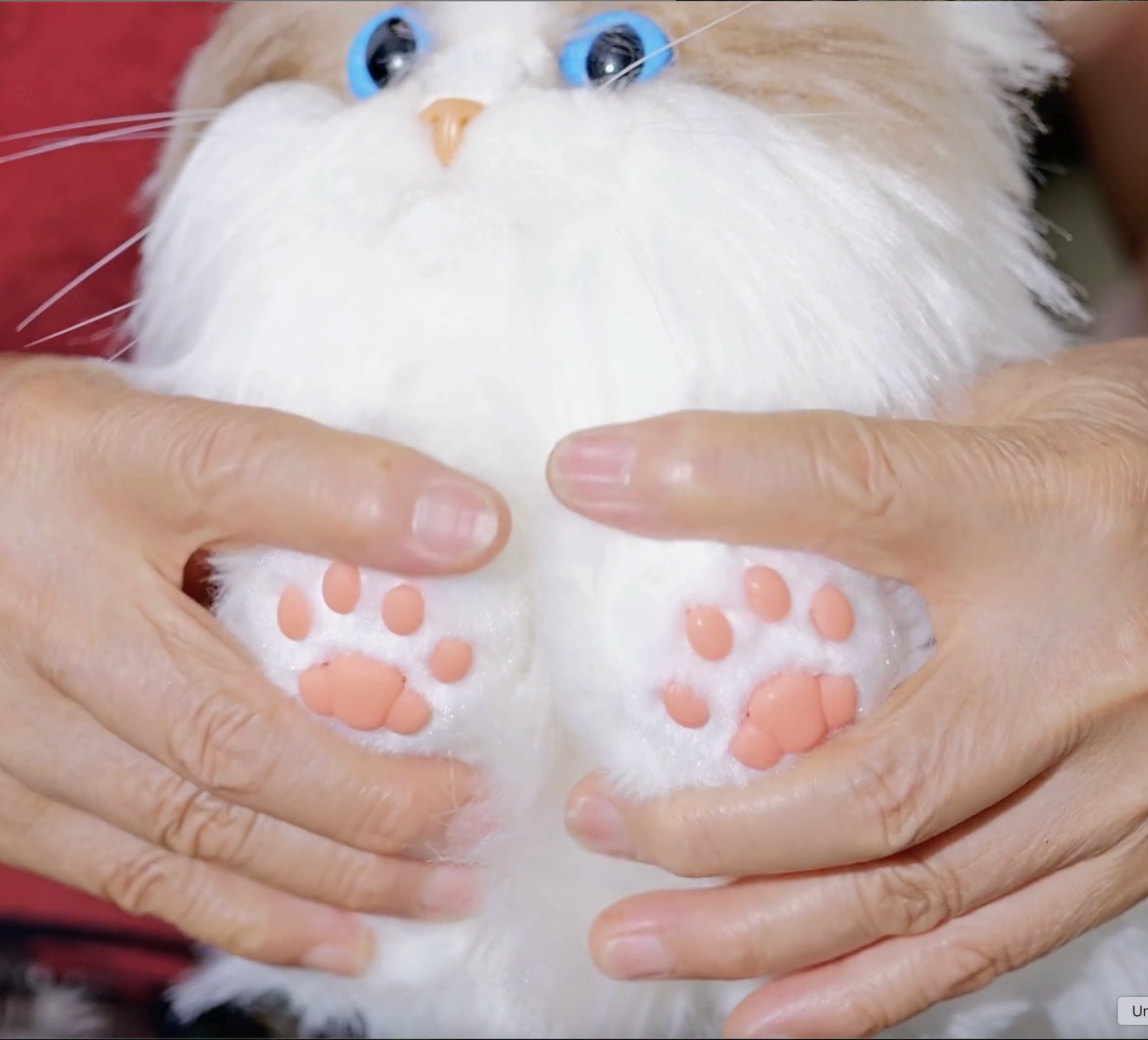 Amazon.com: Assistex Therapy Cat Plush for Seniors with Dementia