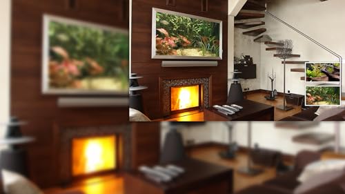 free couple fish aquarium HD - aproveite o romance de peixes em sua TV HDR 4K, TV 8K e dispositivos