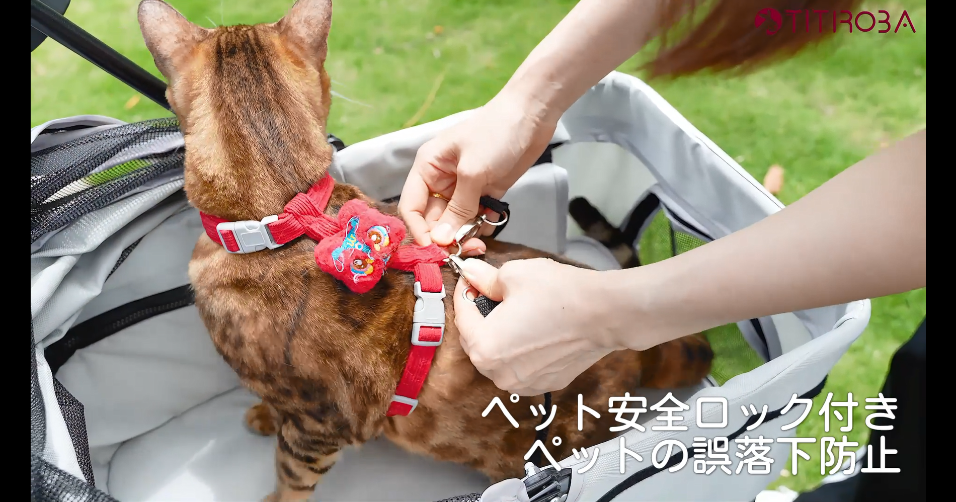 Amazon.co.jp: 【ペットと、もっとお出かけ楽しむ！】チチロバ