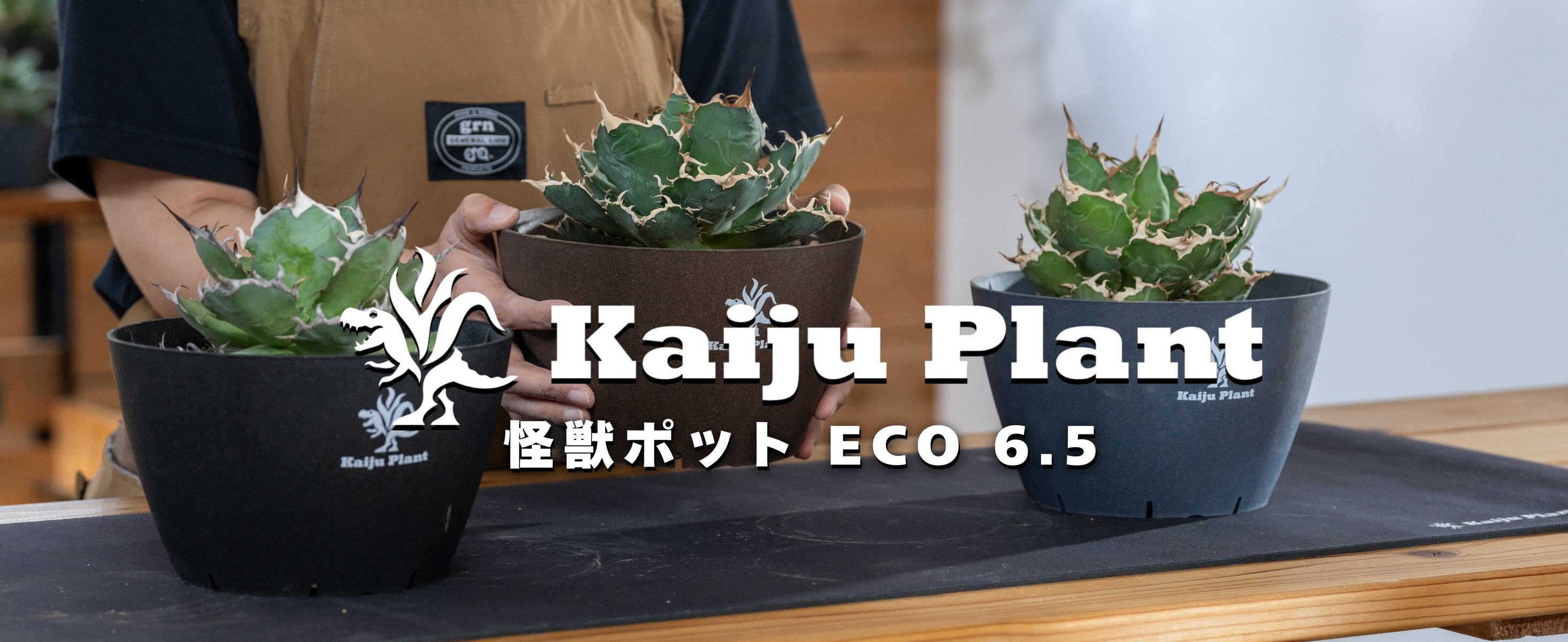 Amazon.co.jp: Kaiju Plant 怪獣ポットEco6.5 スリット鉢 6.5号 麦わら