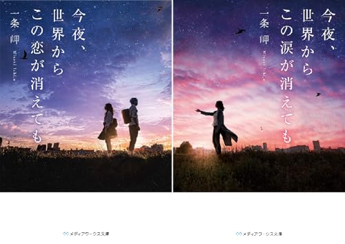 今夜、世界からこの恋が消えても