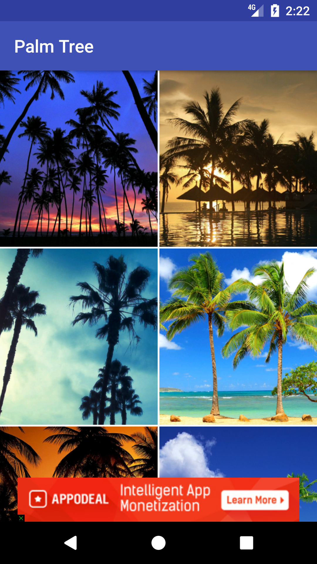 Palm Tree Wallpaper HD Free - App on Amazon Appstore