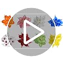 Image of Tdas Artificial Lily Flowers Plants Home Decor Items Flower Plant for vase Living Room Hall Bedroom Decorative Decoration - 34 CM Long (Pot Not Included) (Green, 5 Pcs)