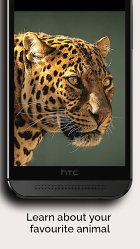 Natural History Museum, London (Museum Buddy)