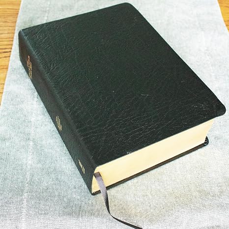 NASB MacArthur Study Bible