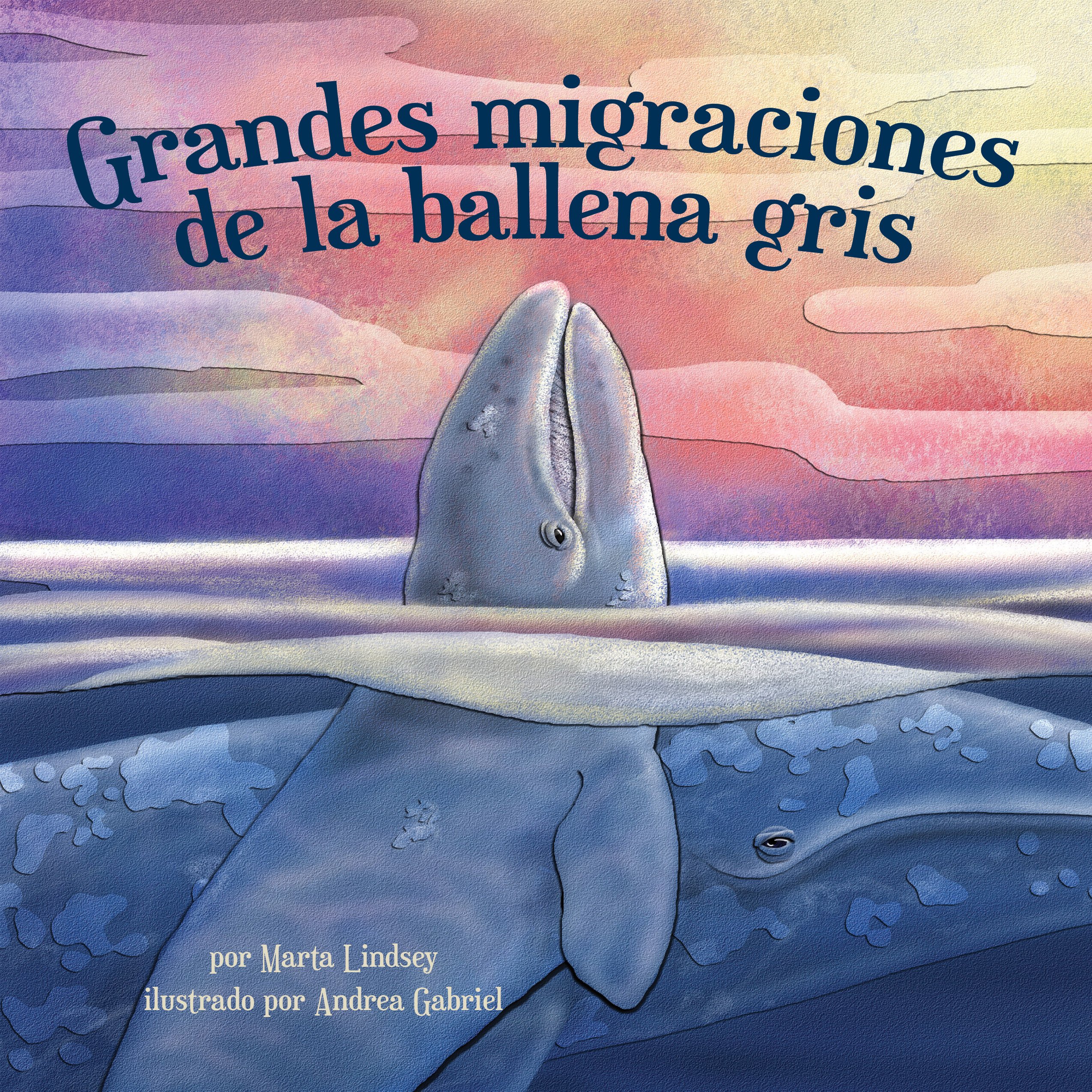 Grandes migraciones de la ballena gris [Great Migration of Gray Whales]