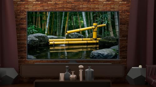 Méditation zen japonaise sur l'eau et le bambou (émission télévisée) – vue 7