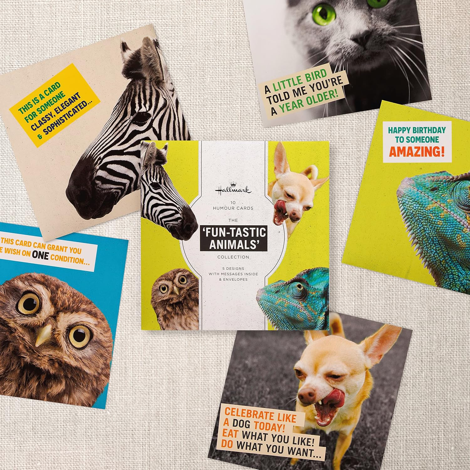 Hallmark Funny Birthday Cards - Multipack of 10 in 5 Photographic Designs