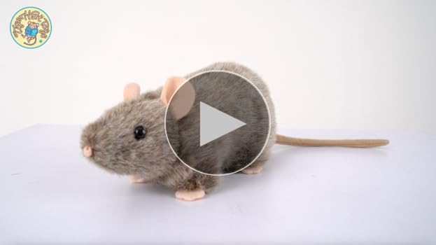 【RAT】パペットマスター 3点 Pack Rat. Three ProCo Rats in one. Stock, Turbo and Dirty