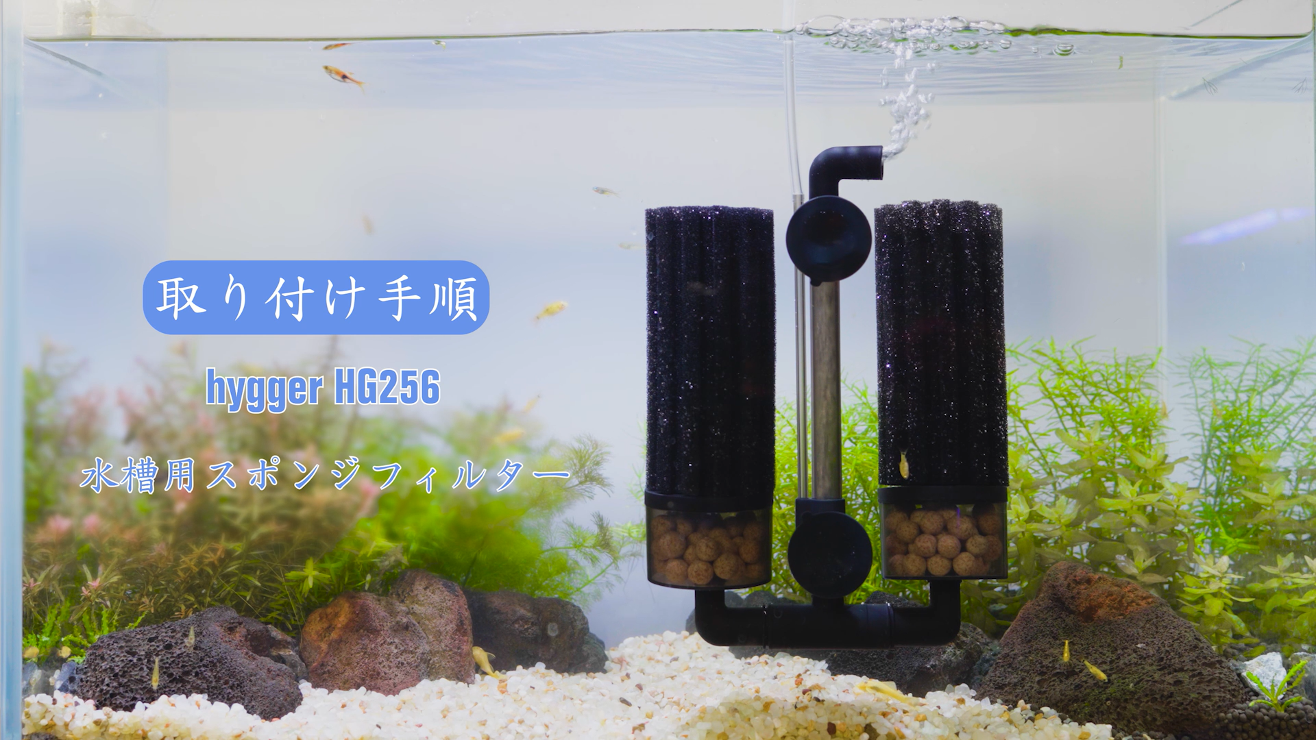 Amazon.co.jp: Hygger: 水槽フィルター