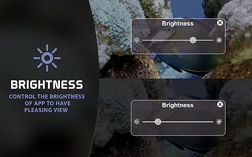 aquário romântico grátis HD - decore seu quarto com um lindo aquário em sua TV HDR 4K, TV 8K e dispo