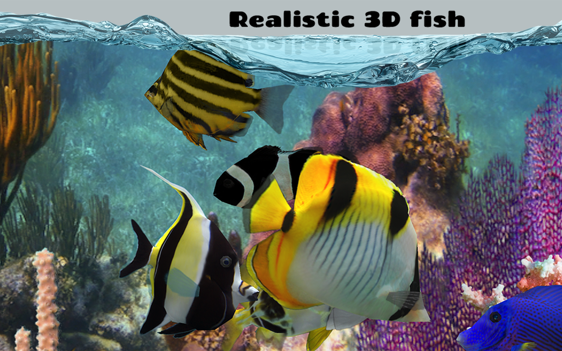 Fish Farm 2Amazonアプリストアのアプリ