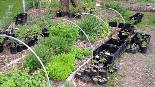 Edible Acres Permaculture