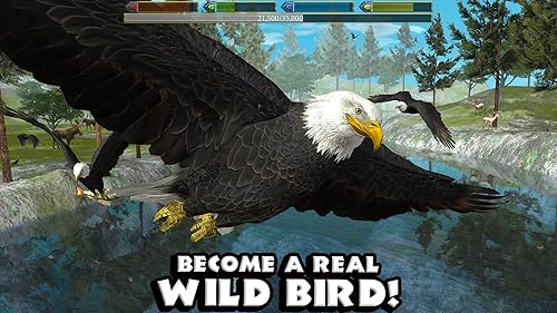 Ultimate Bird Simulator