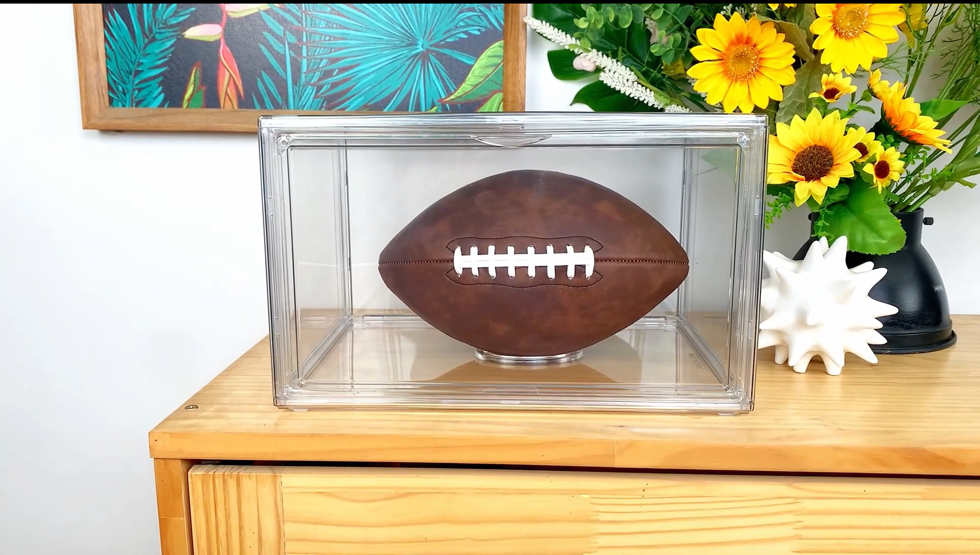 Watch Football Display Case Full Size and Assembling Method on Amazon Live