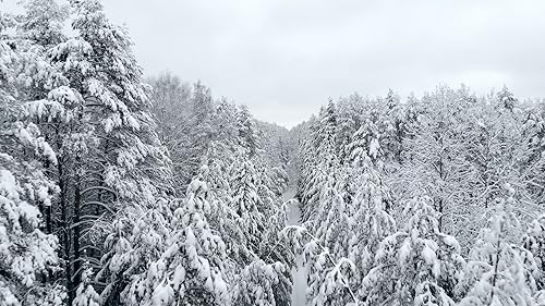 Relaxing Snow Screensaver