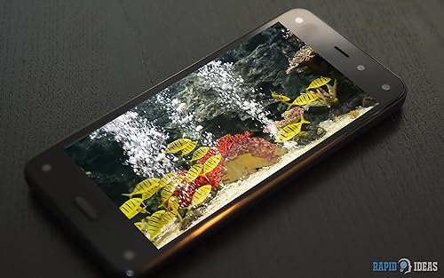 aquário pacífico gratuito HD - decore seu quarto com um belo aquário de vida marinha na sua TV HDR 4