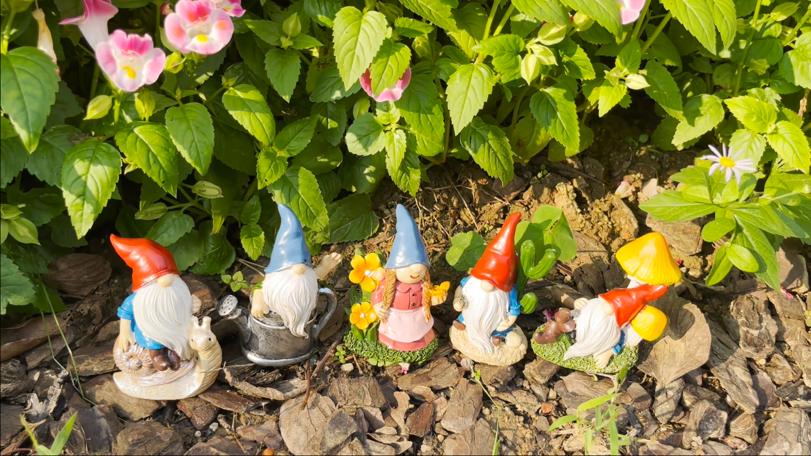 Amazon.com: Cliocoo 5pcs Gnome Miniature Set for Fairy Garden