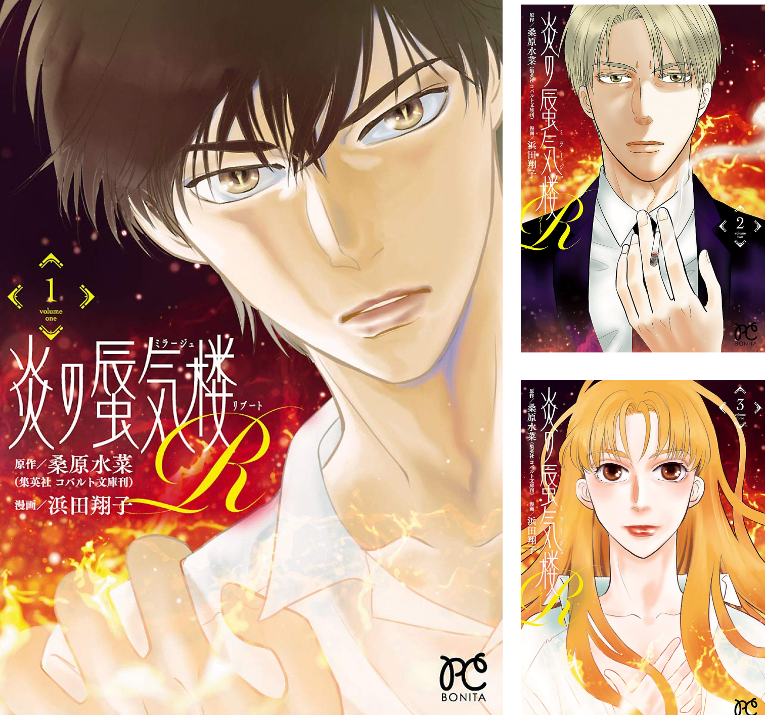 炎の蜃気楼R (全10巻) Kindle版
