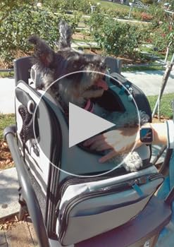 Amazon.co.jp: PFI(ピーファイ) ペットキャリー