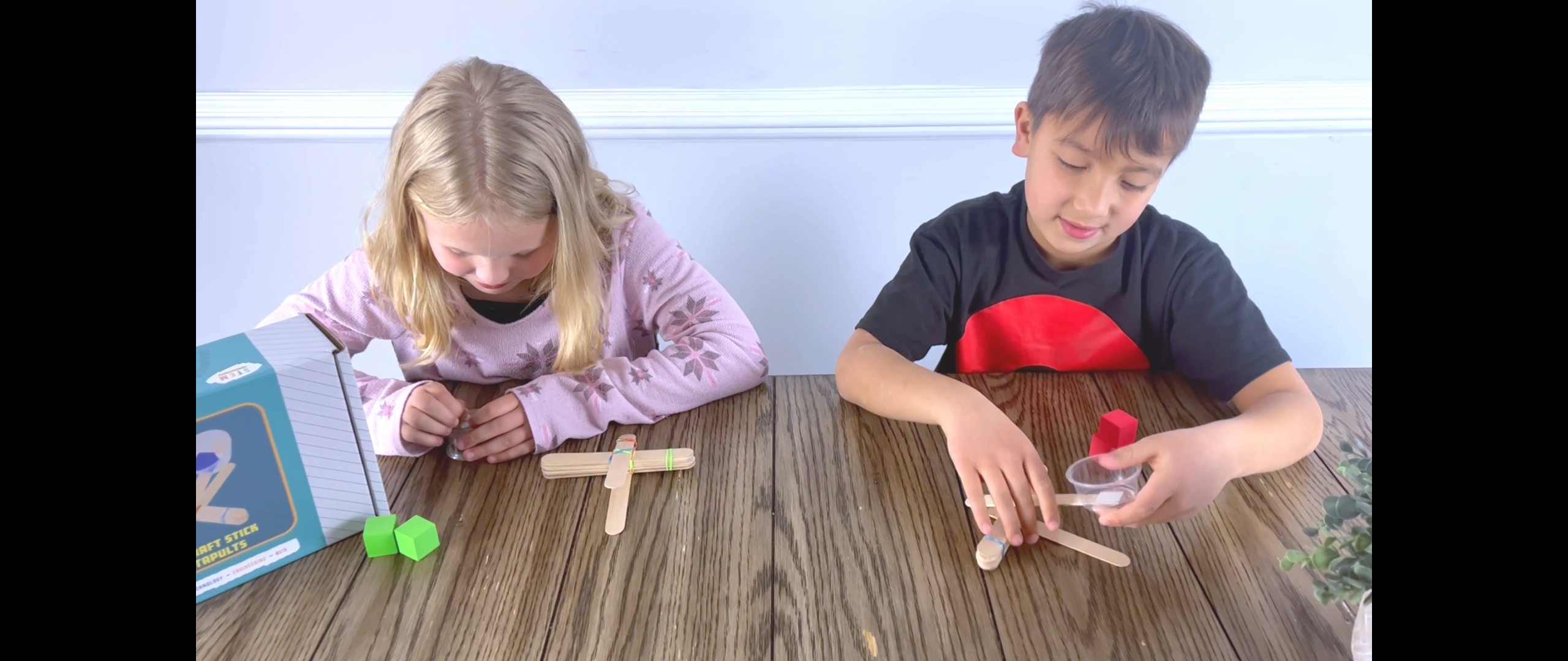 Amazon.com: Catapult Kit, 5-Pack – Build 5 Mini Catapults
