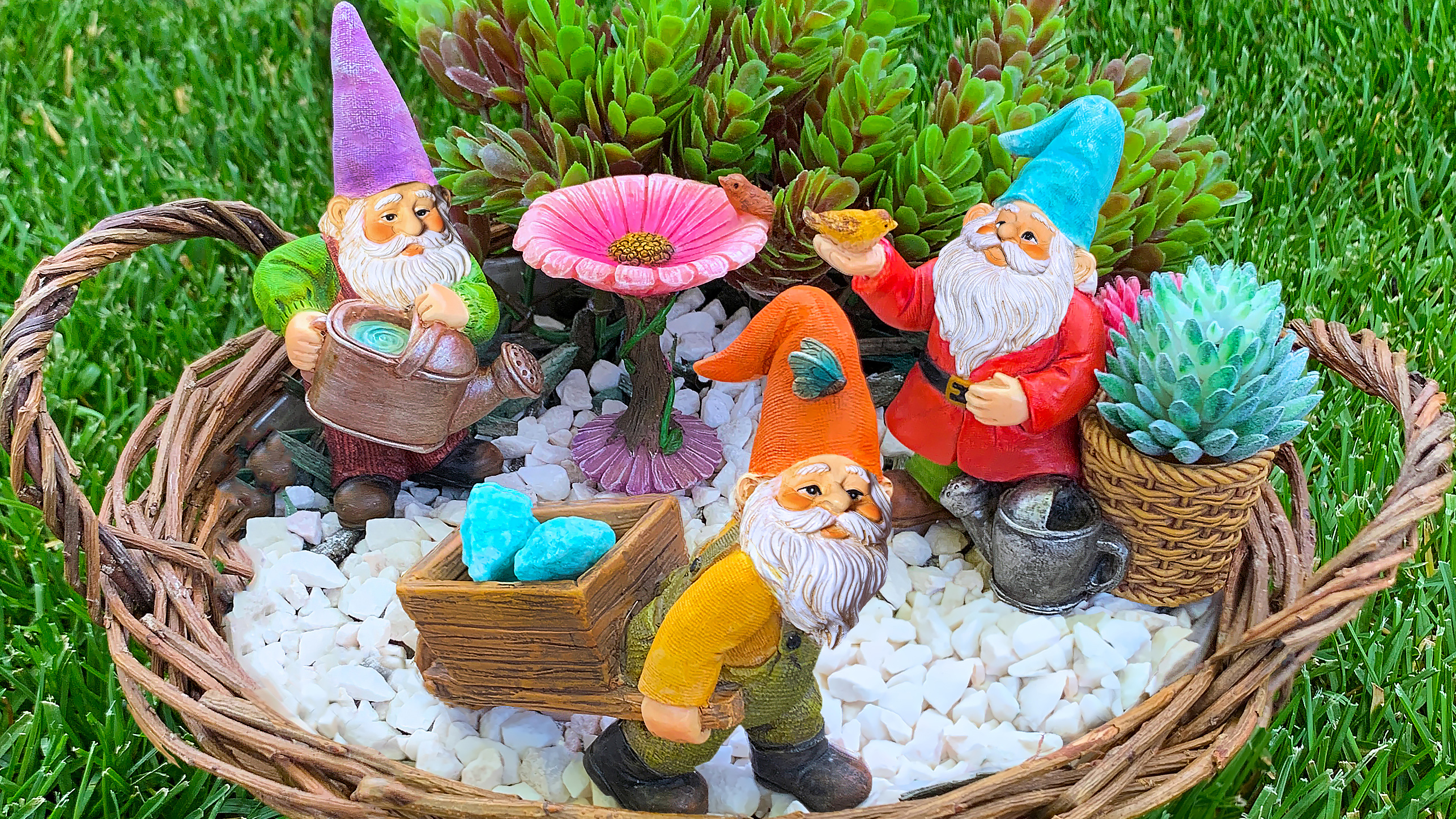 Gnomy 庭の小人像セット Gnomy 庭の小人像セット Gnomy 庭の小人像セット Amazon.co.jp