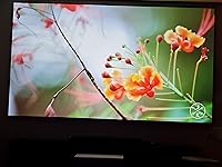 Review Image by William W. William W.