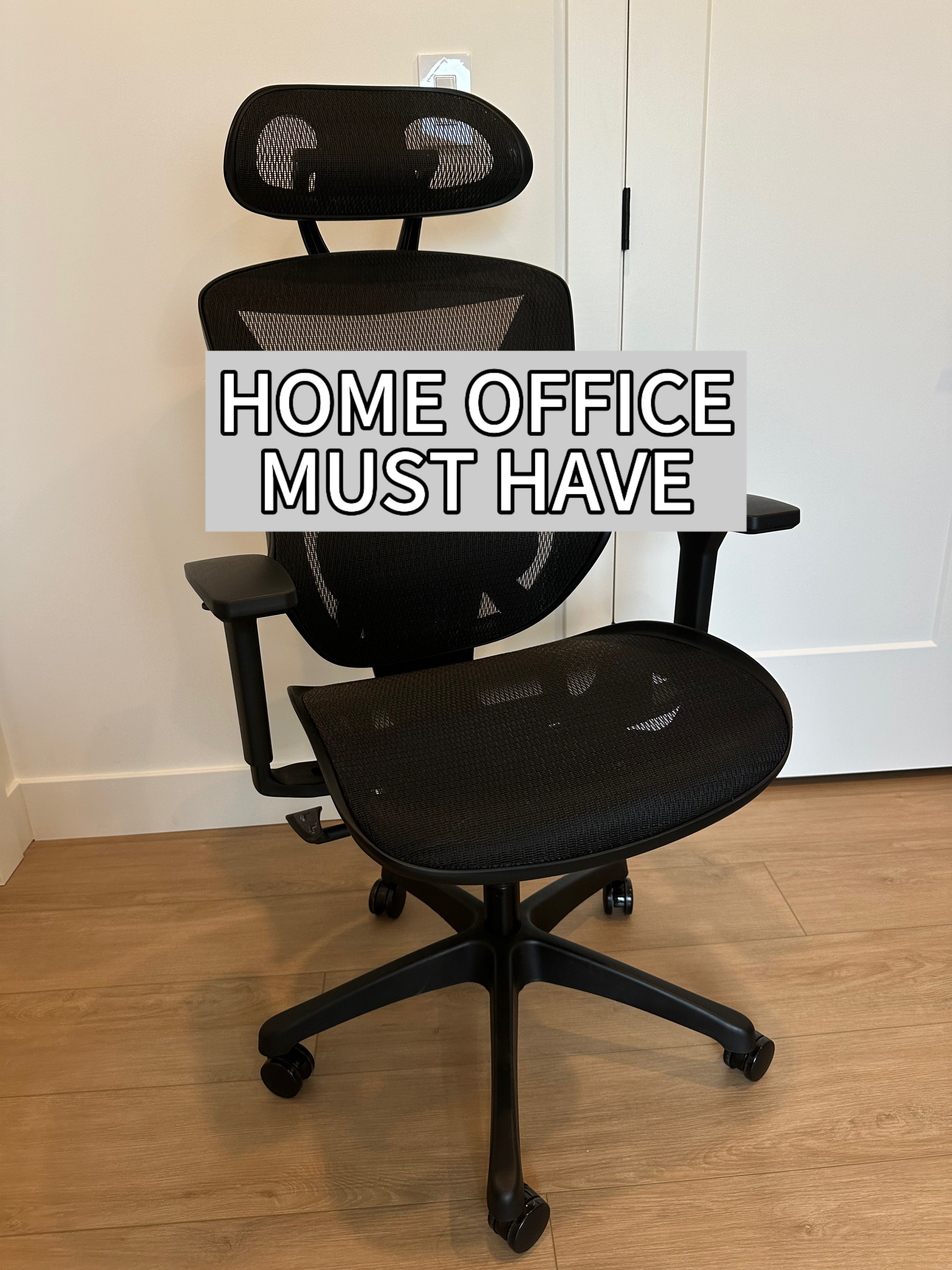 Sometimes I Cannot Smile　ピエルジョルジオ・カソッティ Watch Review - Staples Dexley Ergonomic Mesh Swivel Task Chair on