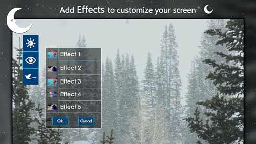 Snowy Pine Trees