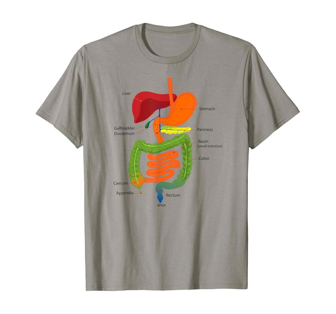 Digestive system t shirt Clearance