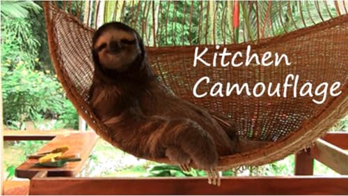 Kitchen Camouflage