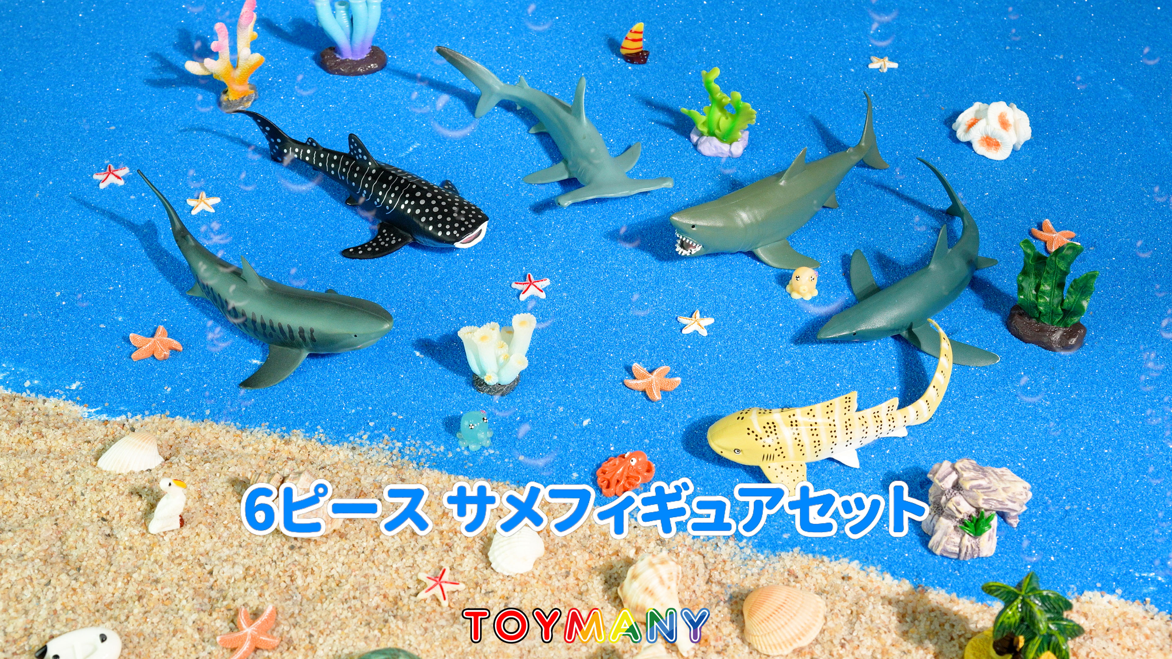 Amazon.co.jp: TOYMANY 動物フィギュア 6PCSサメフィギュア 海洋動物