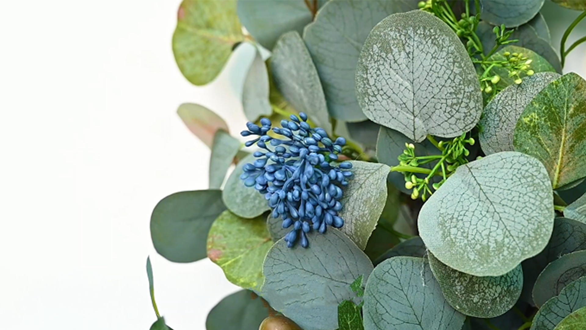 Eucalyptus bladeren - Sfeer aan de Muur