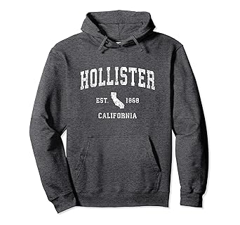 fake hollister hoodie