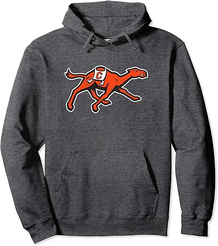 Fighting Camels - Sudadera con capucha y diseño de Primary, Gris disponible en Yaxa Peru