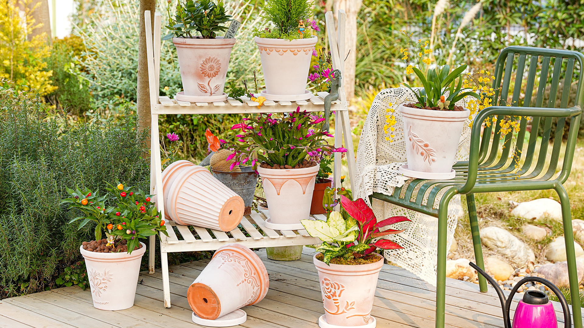 フラワー・ガーデニング BOTANIZE Plastic Pot Bowl SP 3set Amazon.com: Sungmor Set of 3 Terra Cotta Pots With Saucer