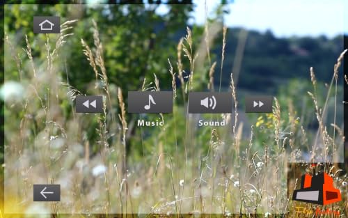 Windy Fields - View the Windy Fields