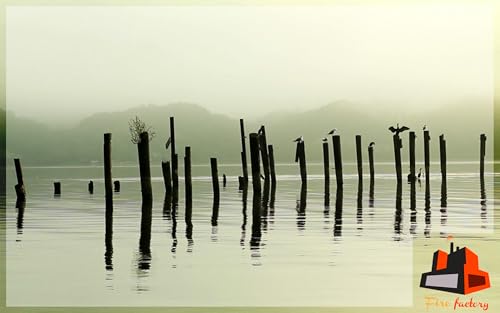Lonely Lake - Calm Lakeside View