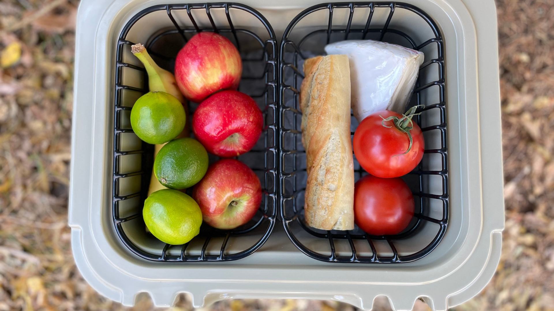 Amazon.com : Above Sea Level Cooler Basket for YETI Roadie 24