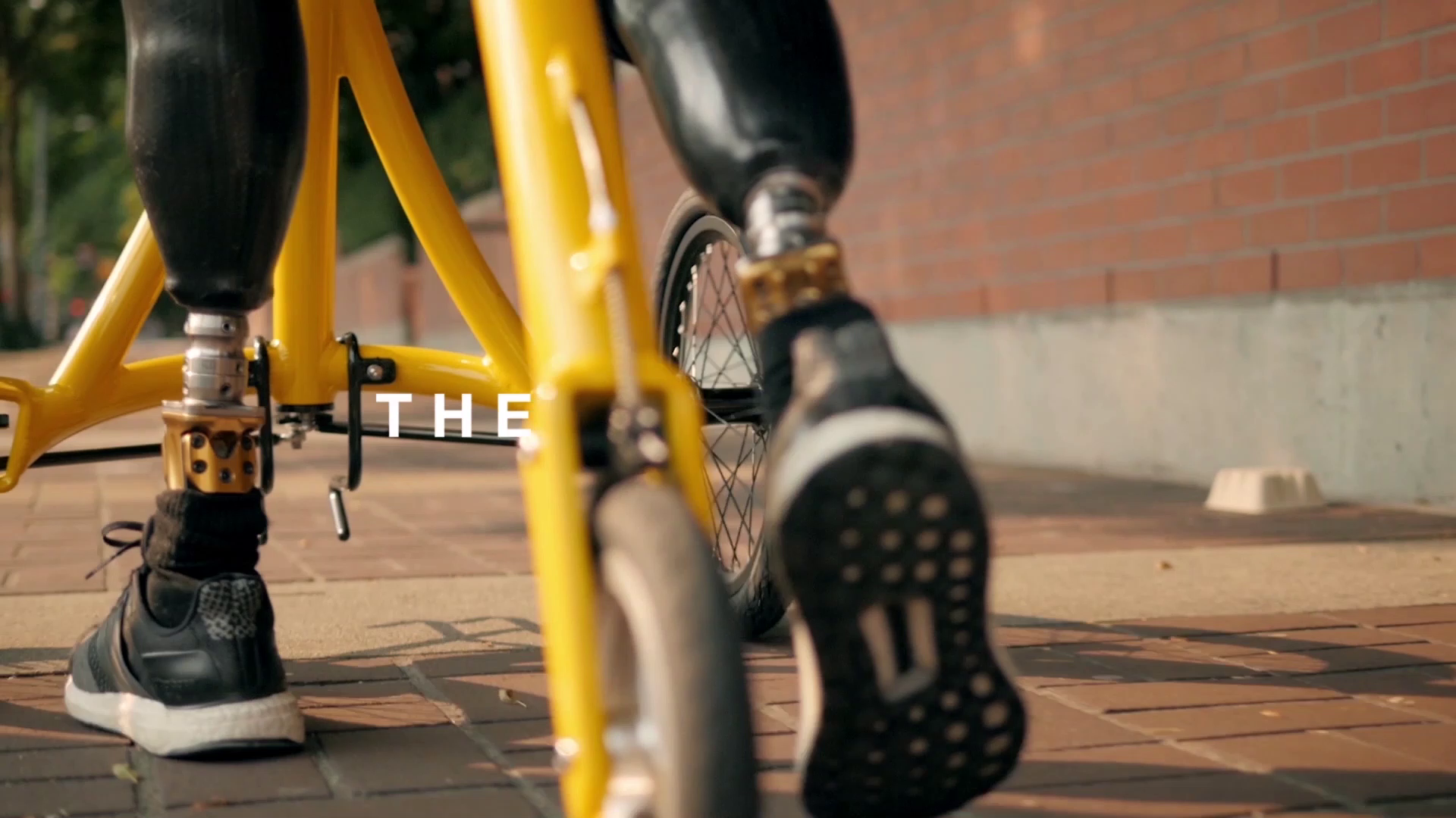 alinker walking bike amazon