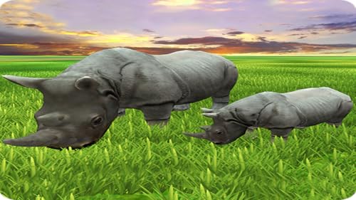 Wild Rhino Family Jungle Simulator