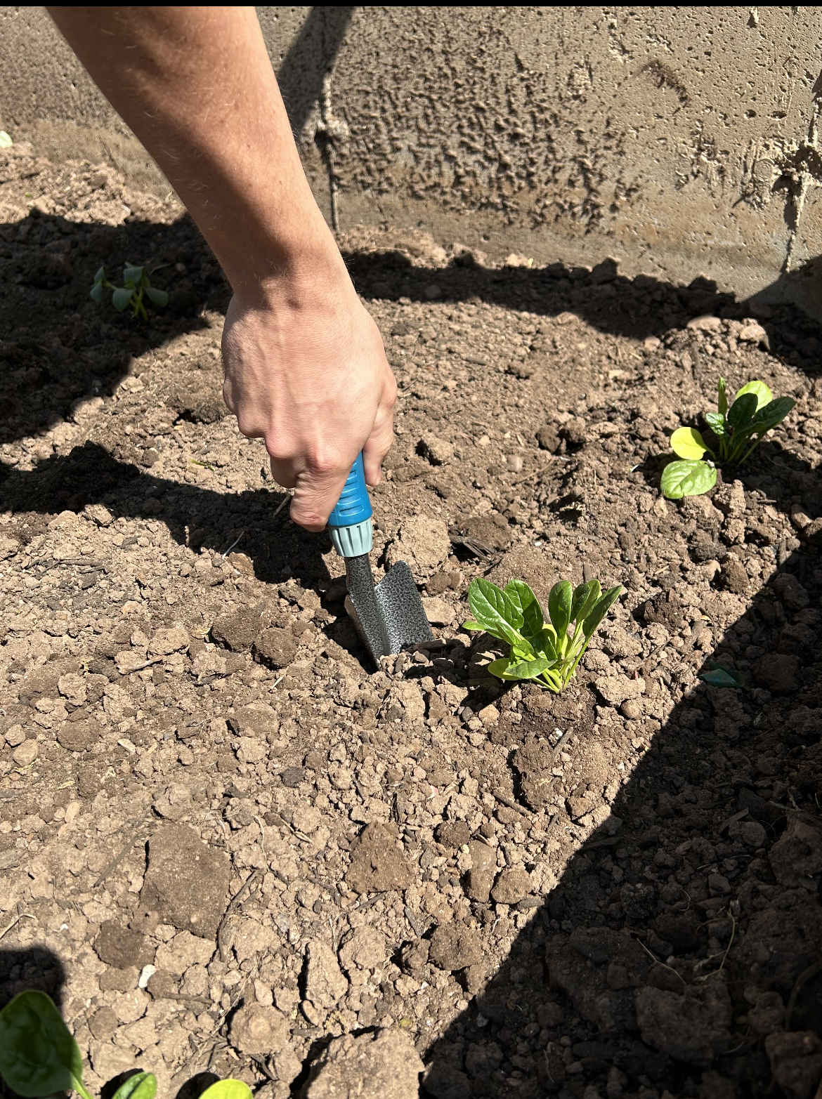 Set de 4 herramientas de jardinería con mango ergonómico miniatura 7