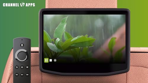 Som da Floresta de Chuva & Natureza: Som Relaxante da Chuva para Dormir e Meditar, Estudo, Sons da F