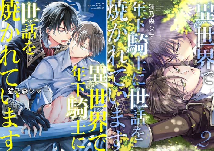 異世界で年下騎士に世話を焼かれています