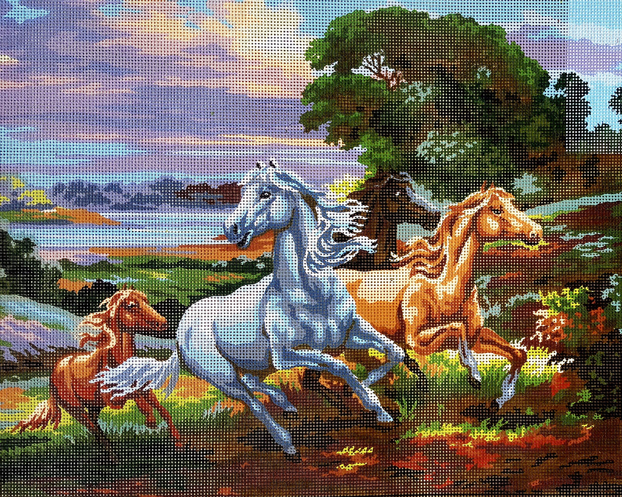 Collection D'art Needlepoint 11516 20" X 24" Painted Canvas Horse Tapestry