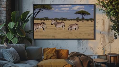 Ambiance safari africain - Paix des prairies sauvages de la savane – vue 8