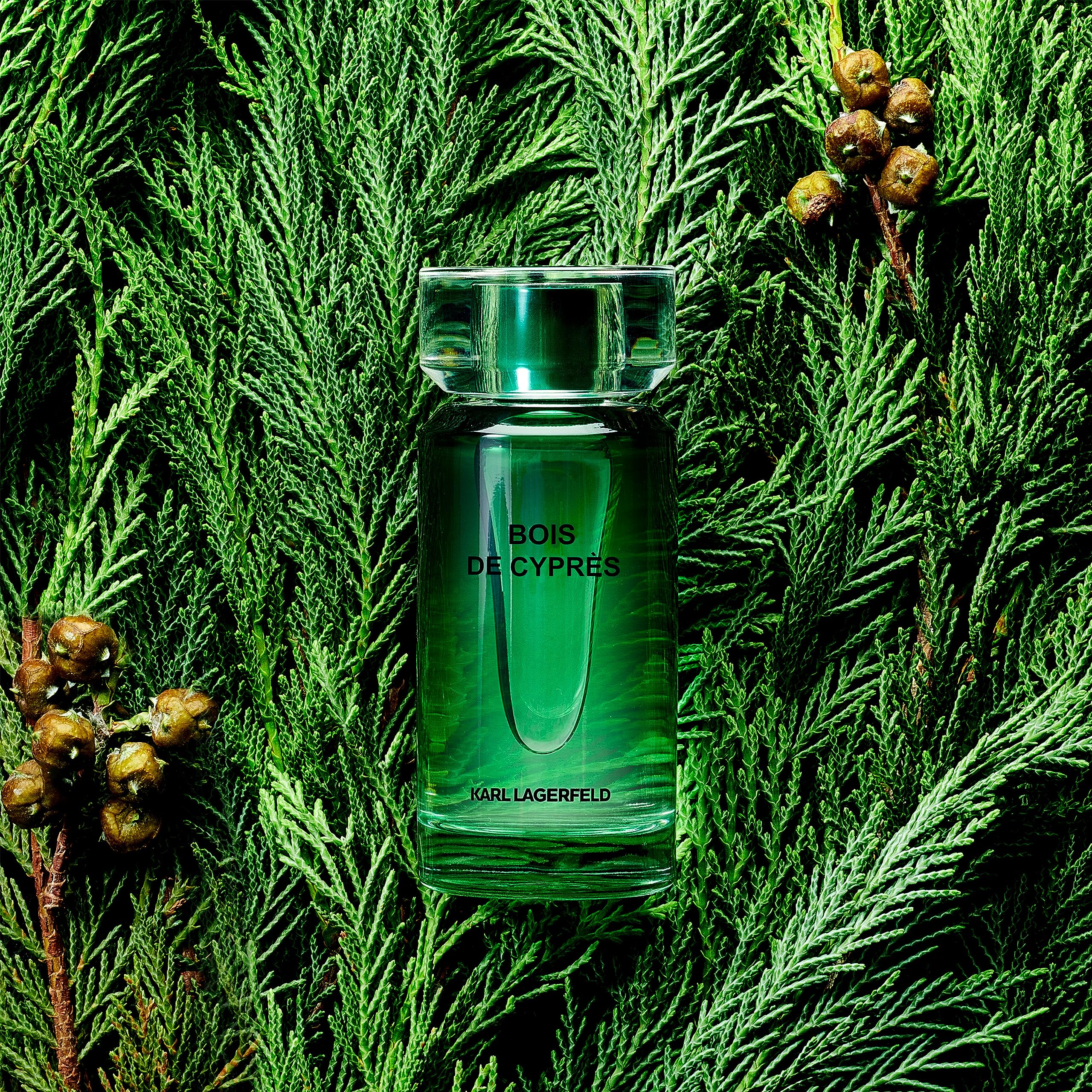 Karl Lagerfeld Bois de Cyprès EdT, linea: Les Matières Base, Eau de Toilette, 50 ml